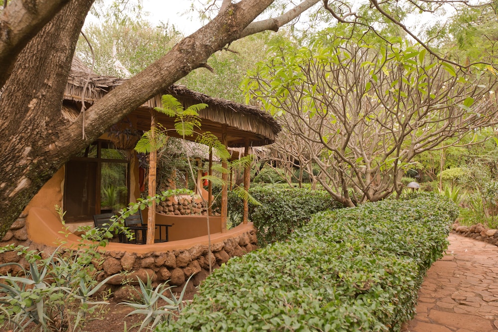 Amboseli Sopa Lodge 40/54