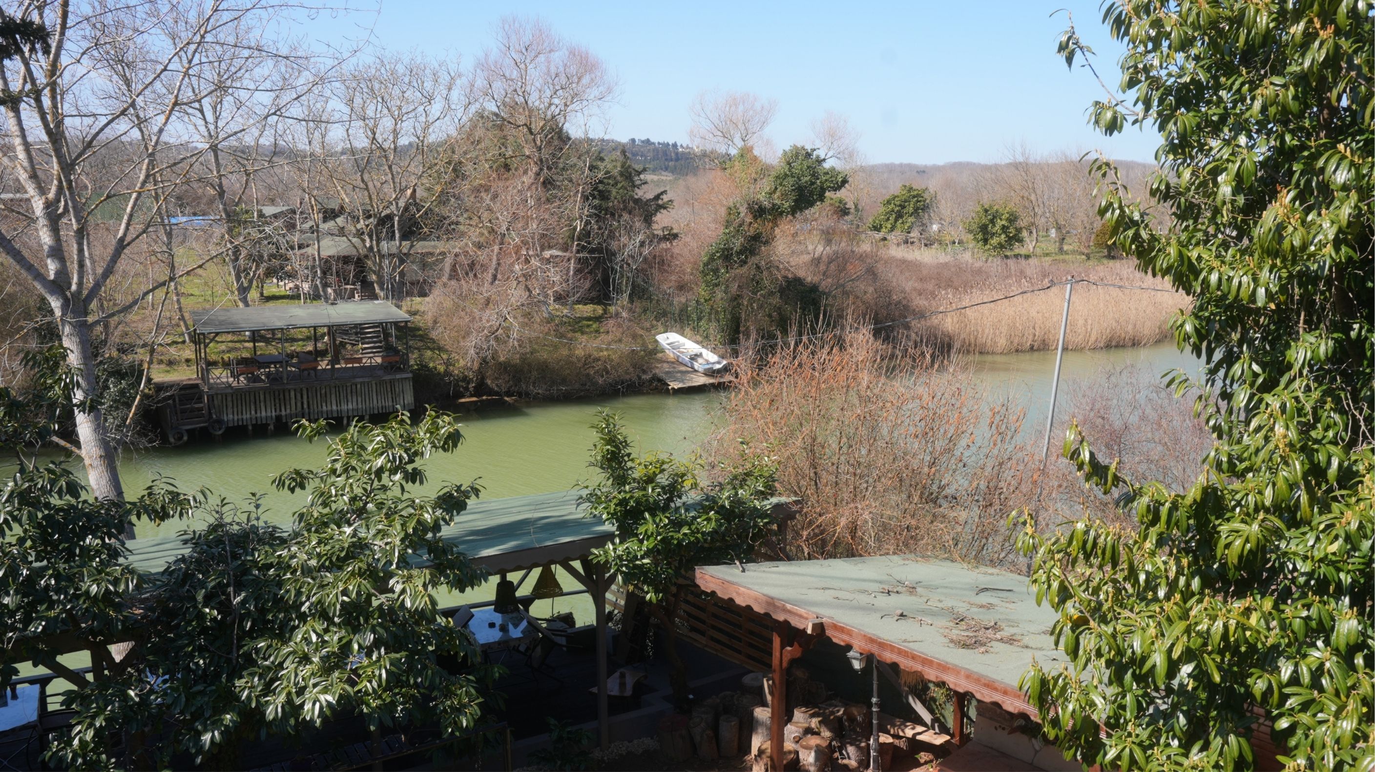 Tree Tops Park 1/50