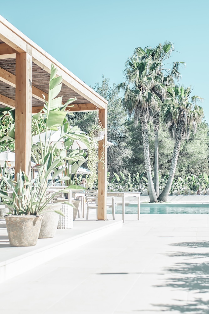 Hotel Boutique & Spa Las Mimosas Ibiza Elite Collection by Mambos Ibiza 31/57