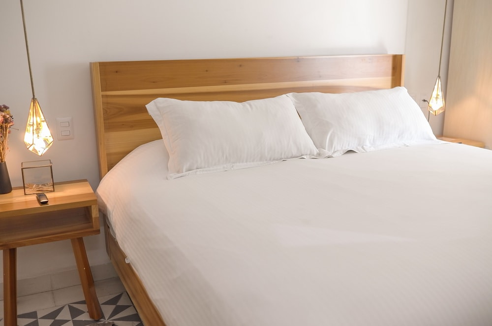 Hotel Nuevo Leon 23/65