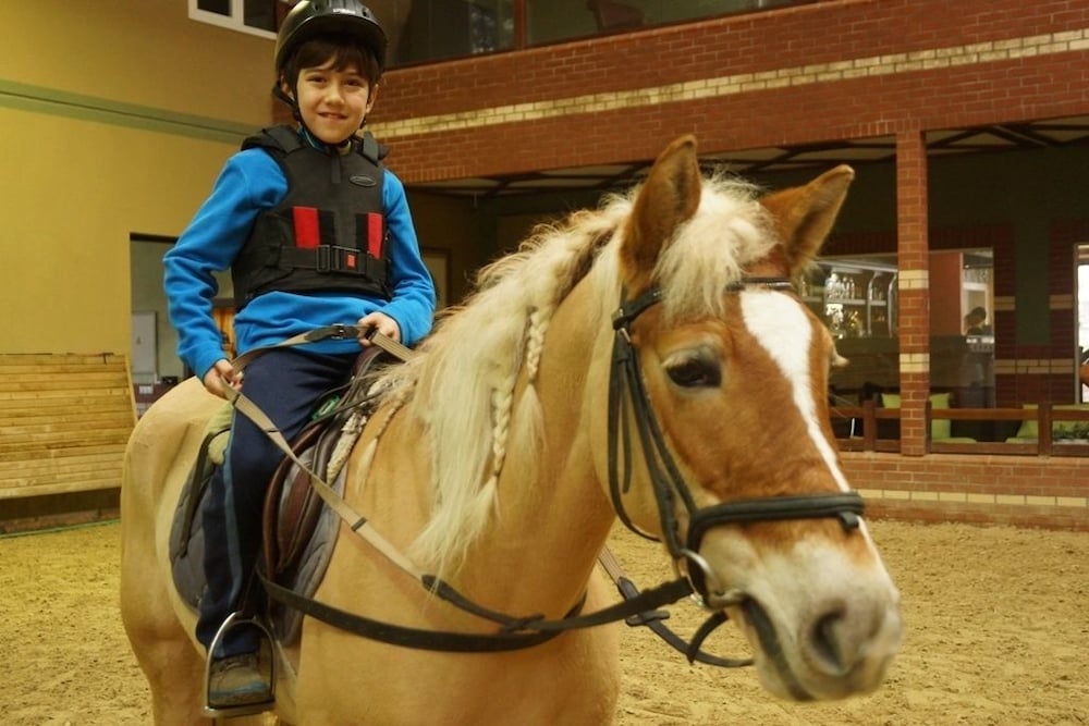 Padok Premium Hotel and Stables 8/44