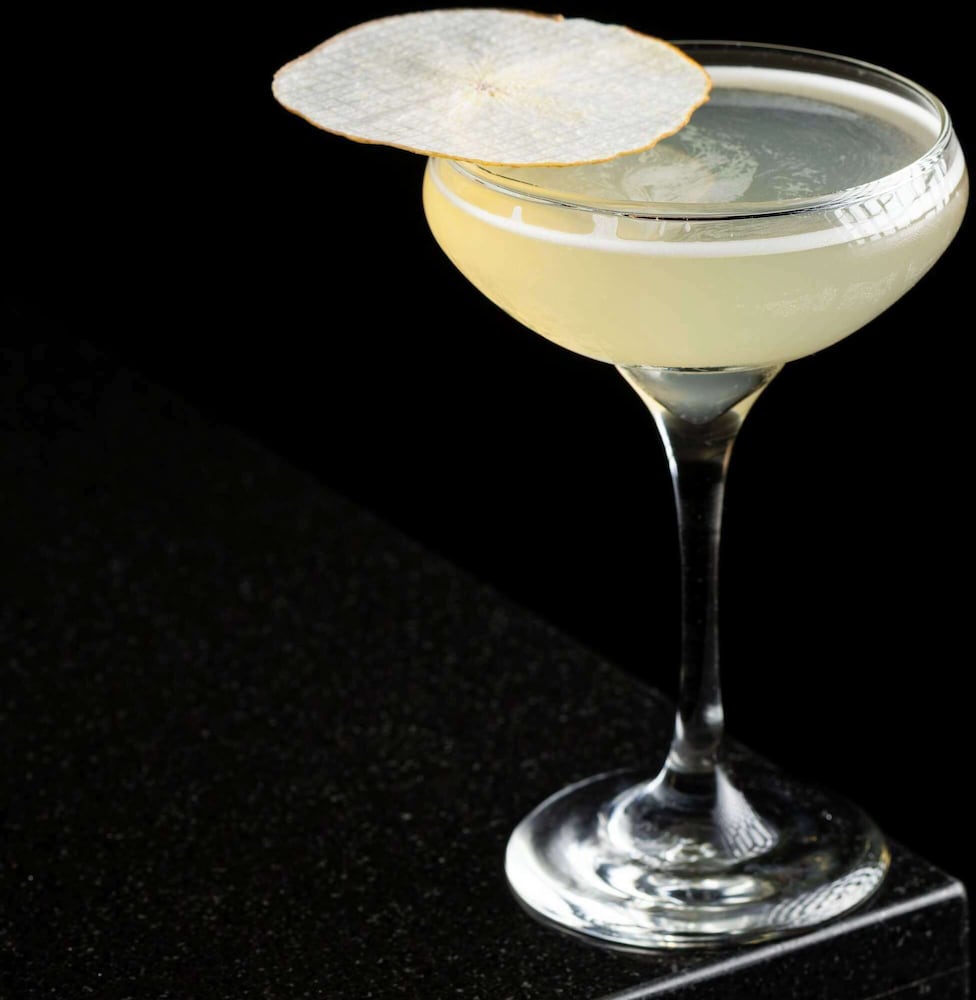 洛杉矶索菲特酒店(Hotel Sofitel Los Angeles at Beverly Hills) 图片3