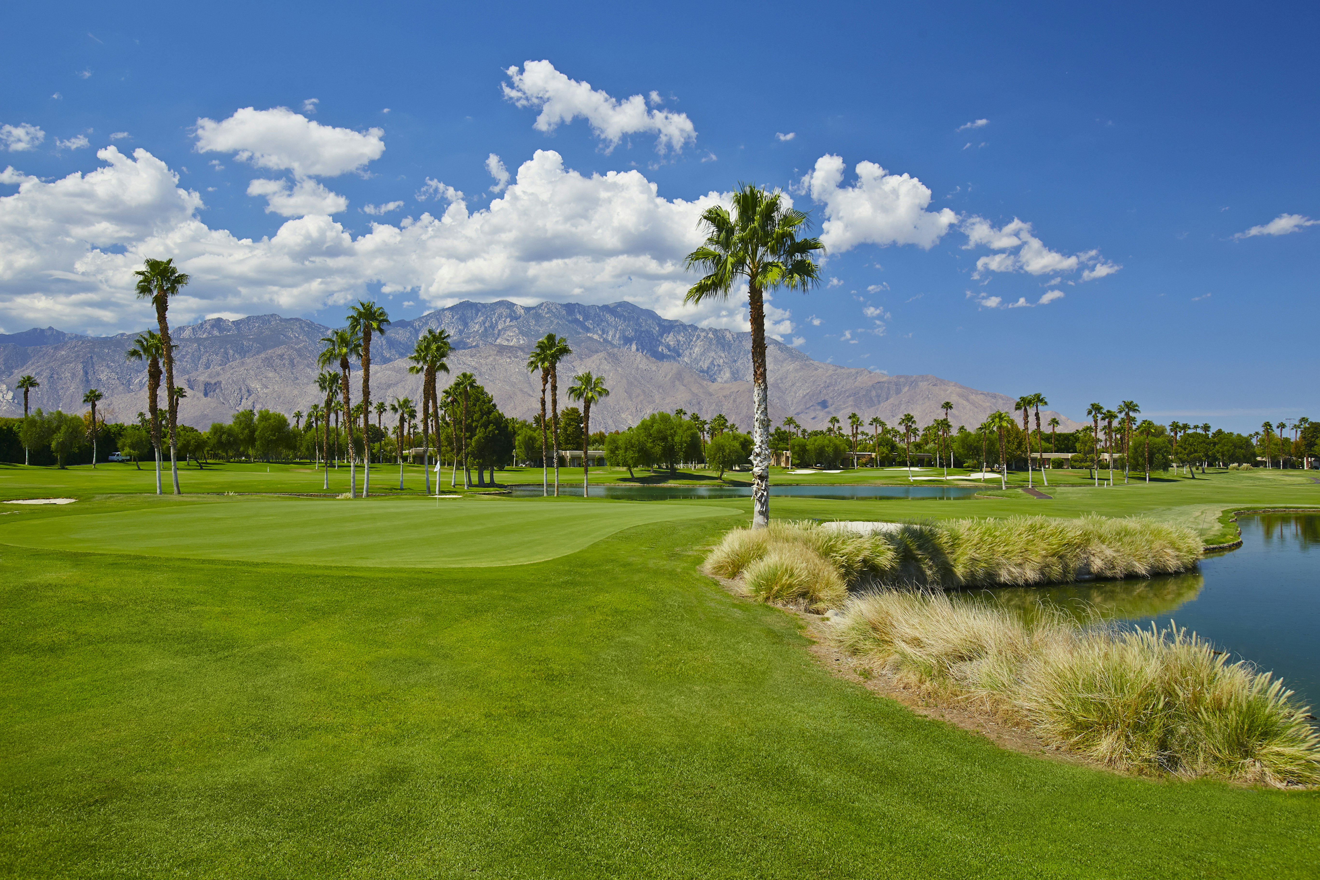Doubletree By Hilton Golf Resort Palm Springs 74/81