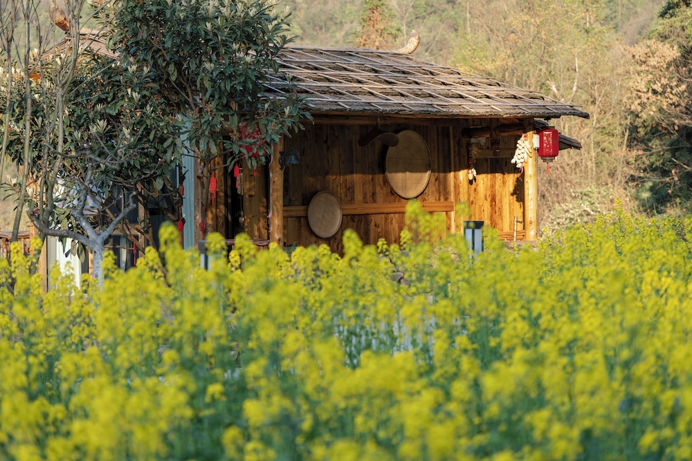 Kongjie Valley 40/50