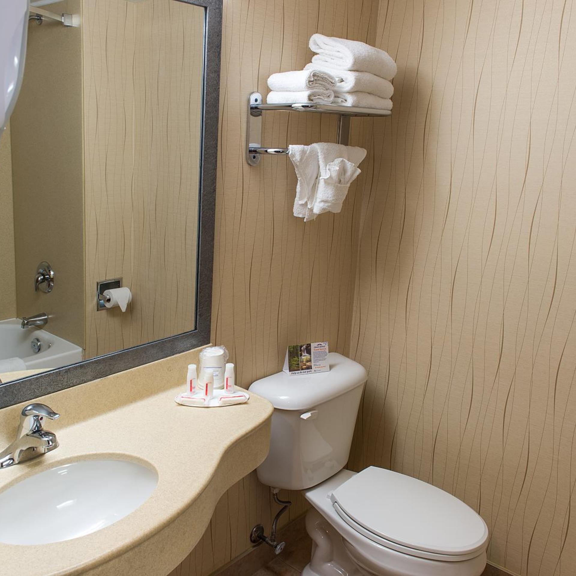 جناح سوبيريور بسرير كينج بجاكوزي، Howard Johnson Plaza by Wyndham by the Falls / Niagara Falls 4/4