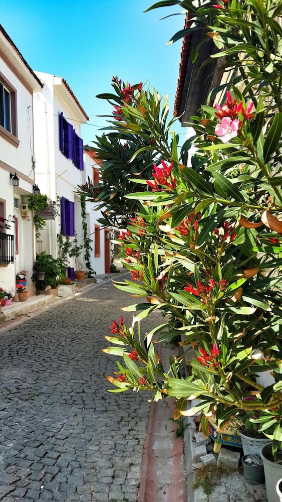 Amaranda Ada Evi - Adults Only 23/24