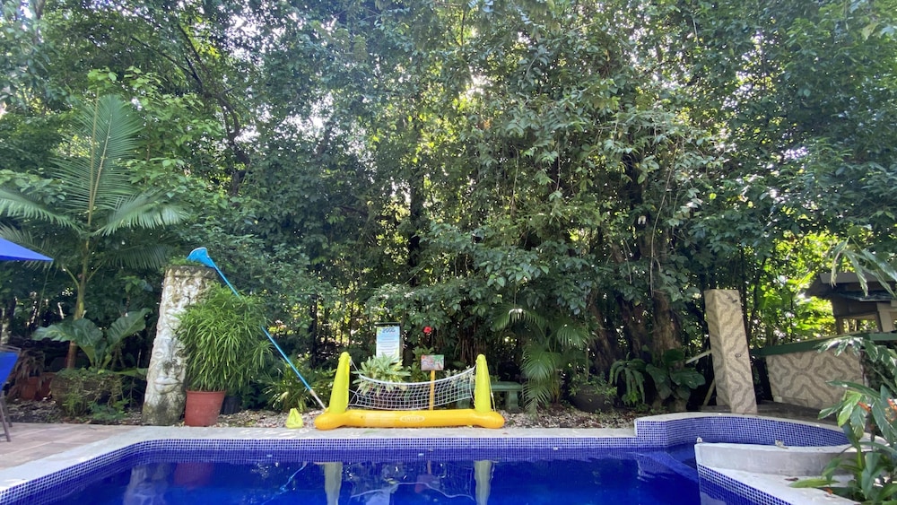 Hotel La Posada And Jungle 50/74