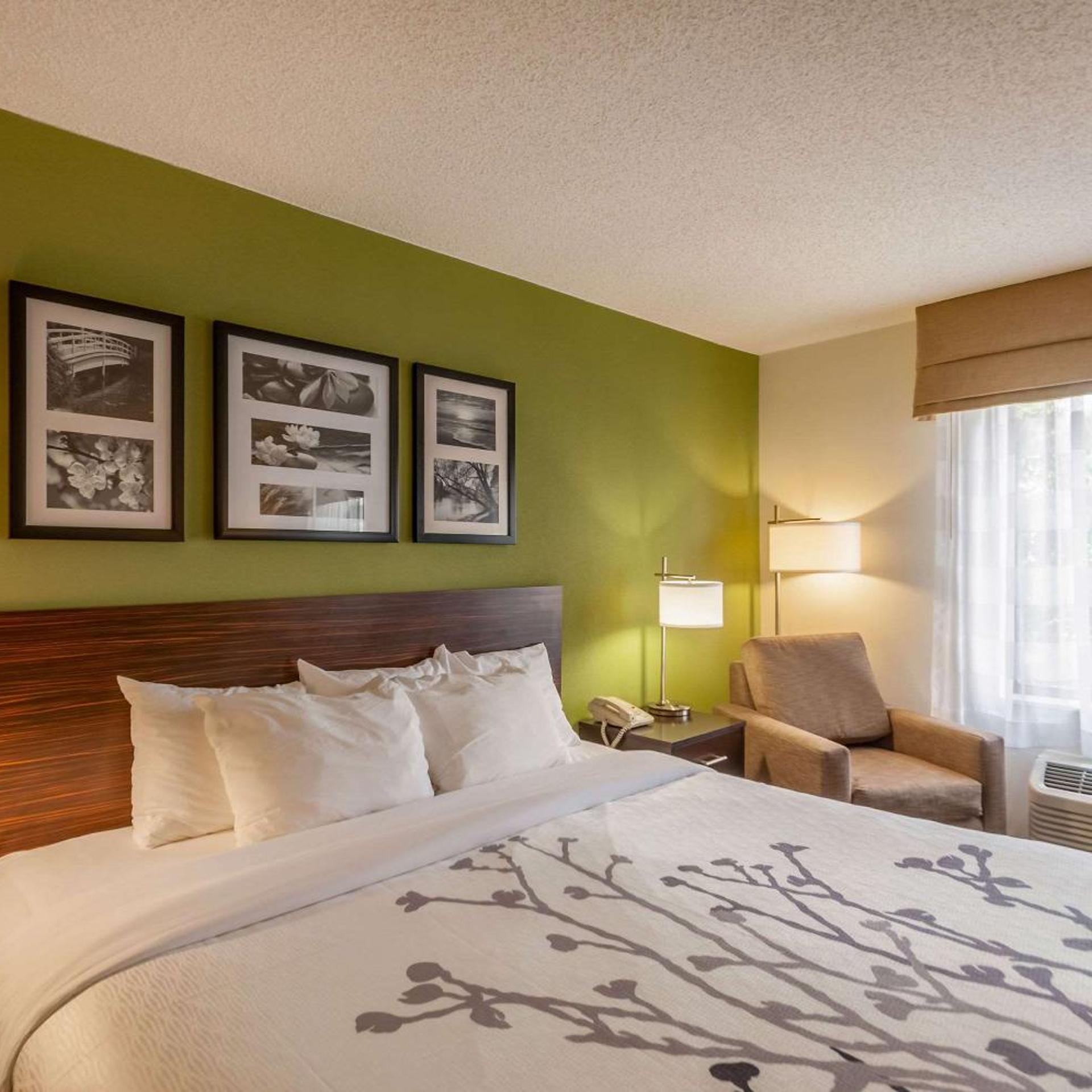 جناح بسرير كينج، Sleep Inn and Suites Harrisonburg Near University 2/5