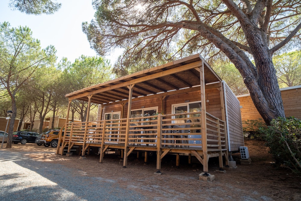 Club del Sole Stella del Mare Family Collection 6/56