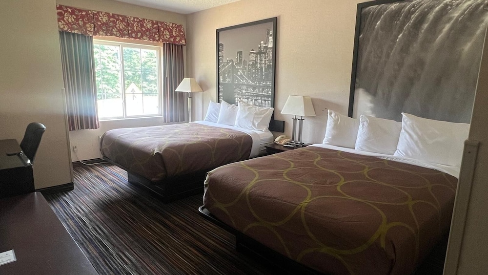Super 8 by Wyndham Albany 21/51