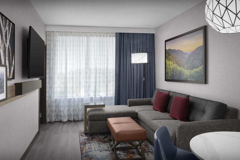 Embassy Suites by Hilton Pigeon Forge Resort 17/40