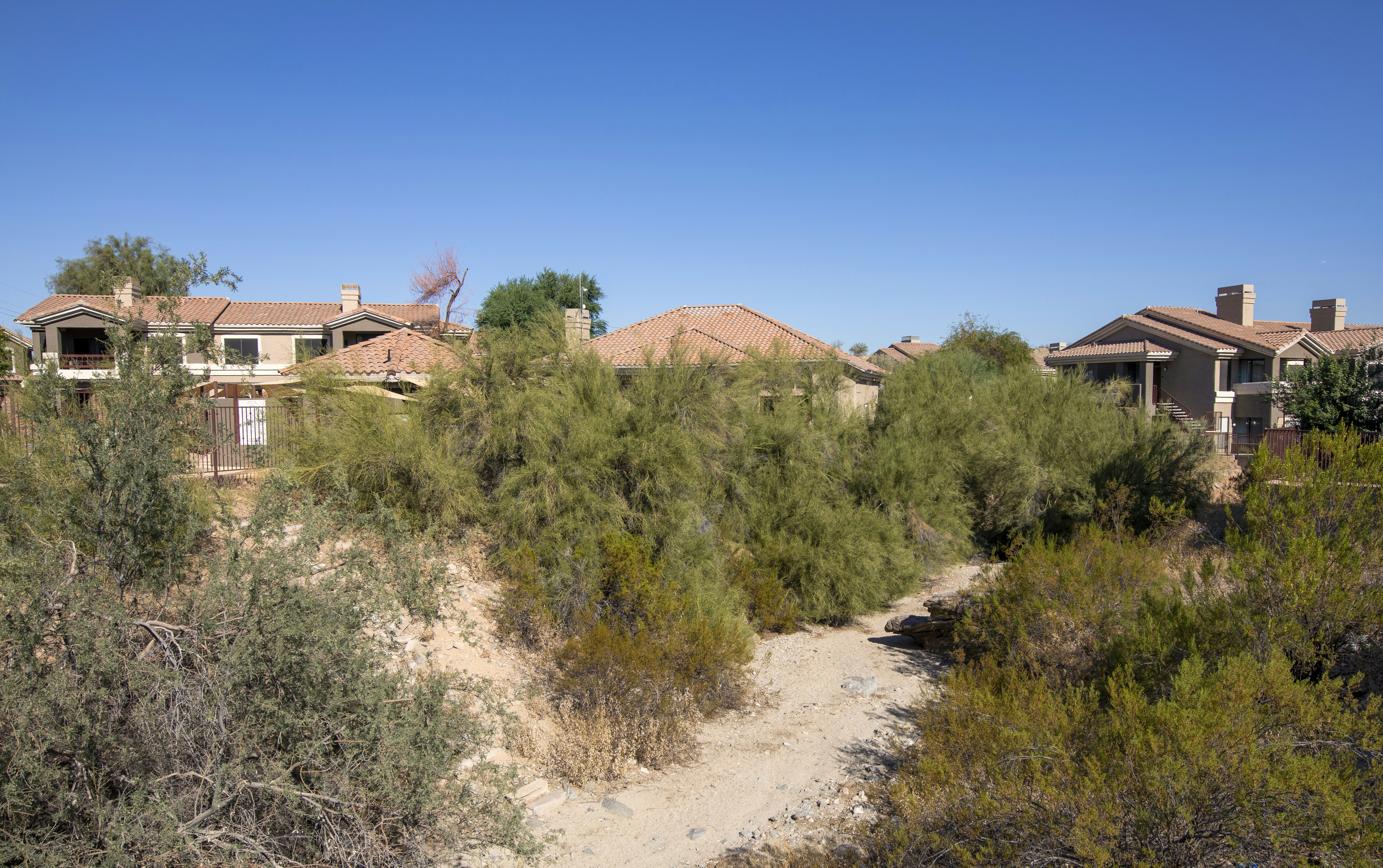 Worldmark Phoenix South Mountain Preserve 35/50