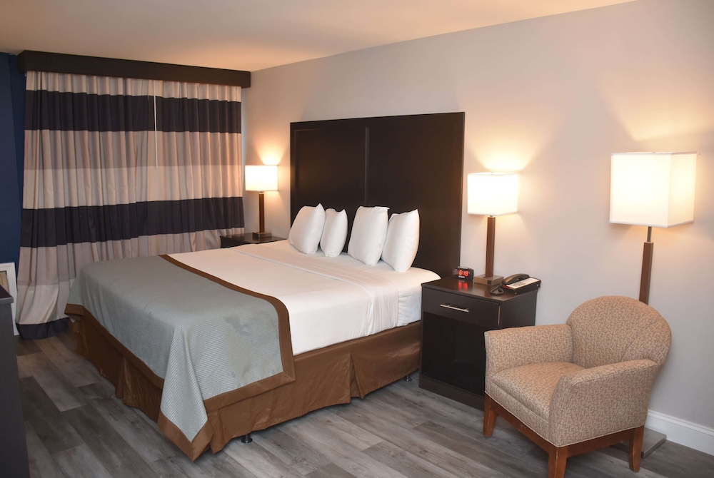 Superior, Suite, King Bed