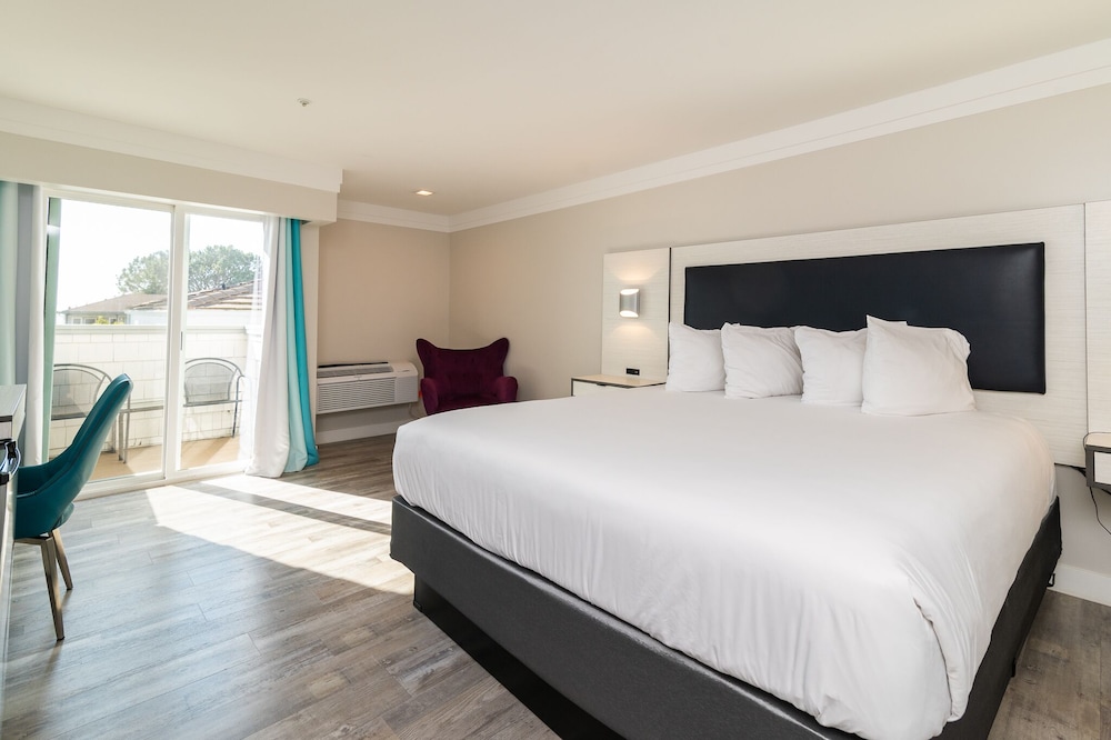 Art Hotel Laguna Beach 13/41