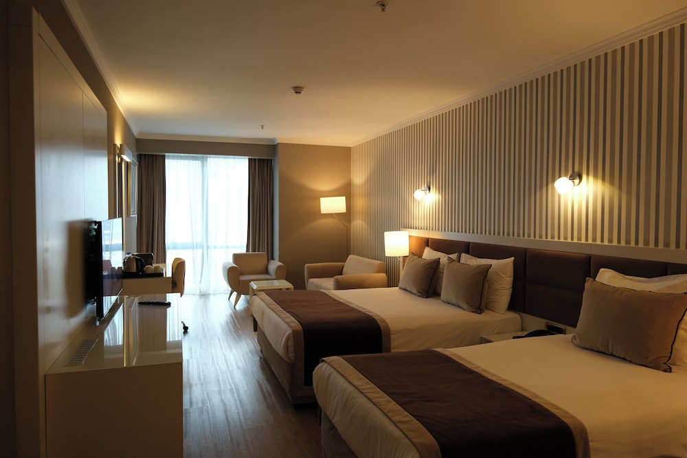 Room, Triple, 1 Double and 1 Single Bed, Murphy Bed، Byotell Hotel Istanbul 7/10