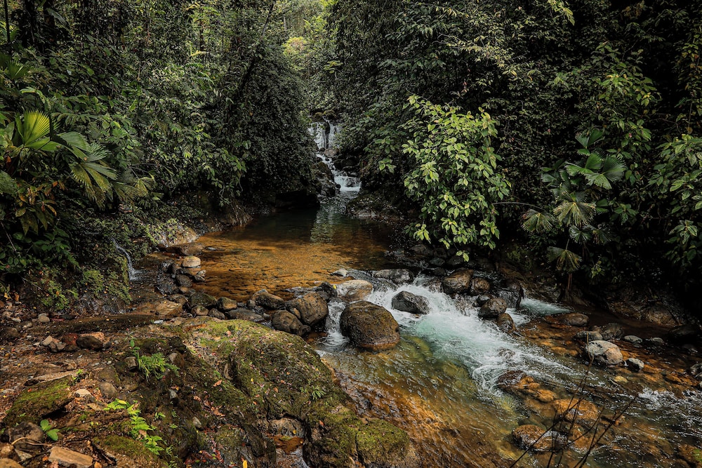 Santa Juana Lodge Nature Reserve 45/50