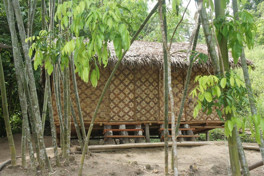 Rain Forest Inn 60/66