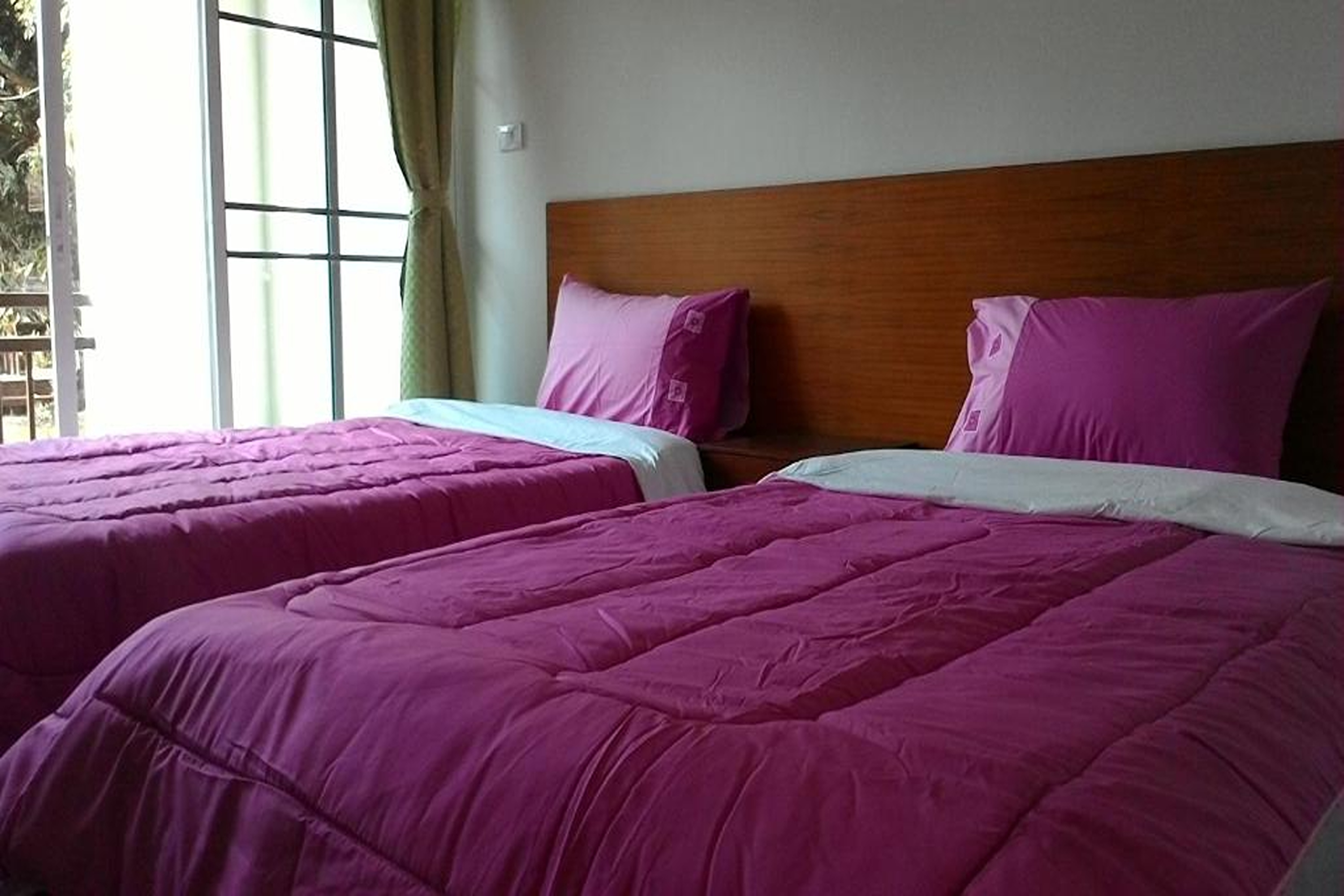 Standard, Twin Beds