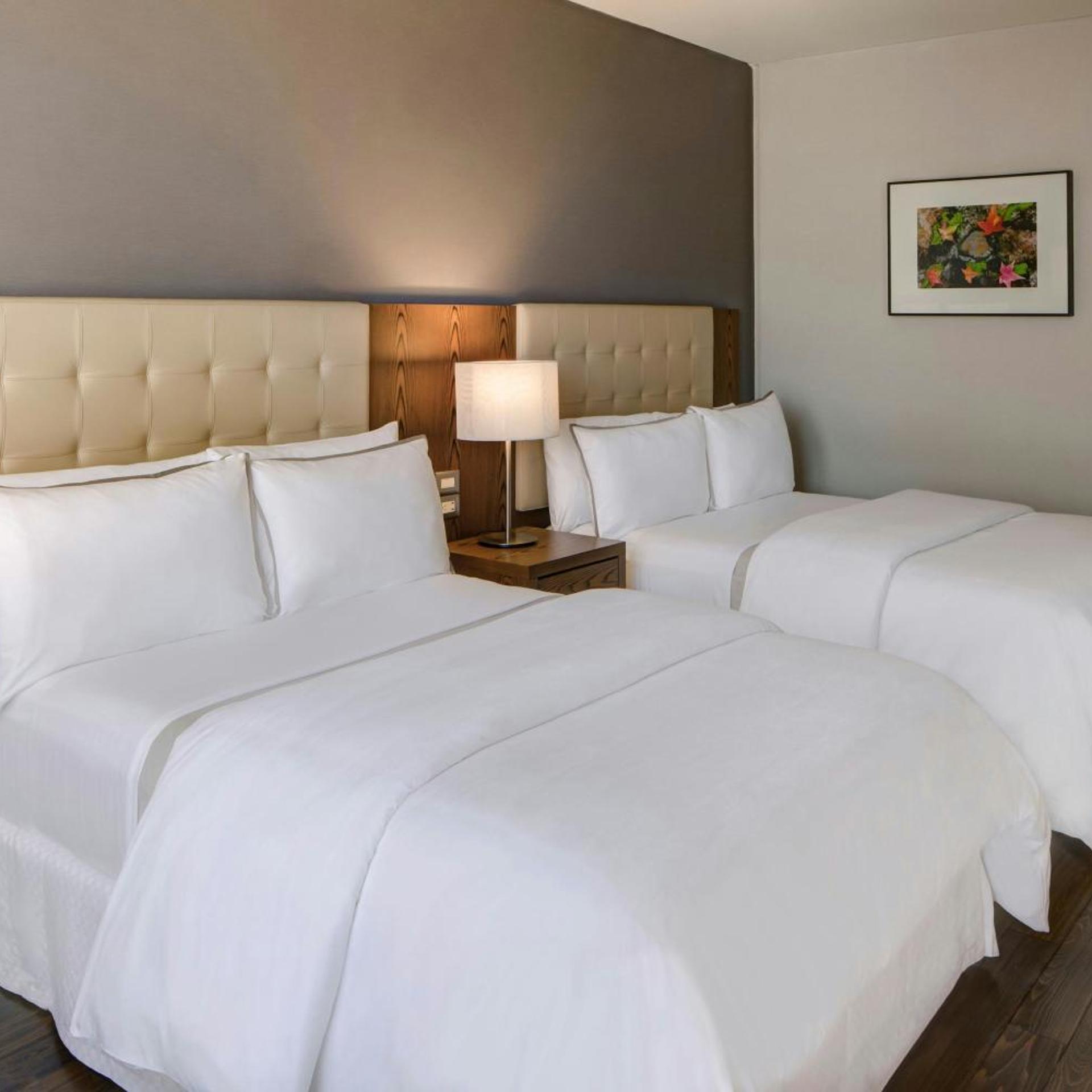 Presidential, Suite, Valley View, Club Lounge Access