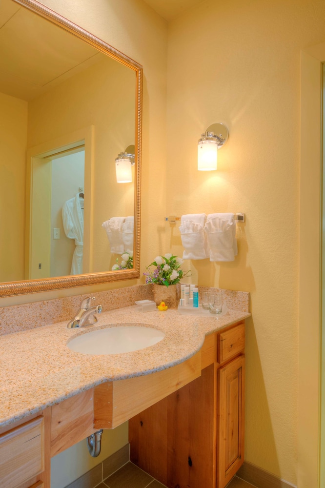 Homewood Suites by Hilton Jackson 5/41