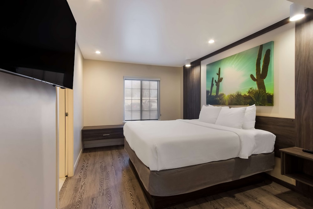 Suite, King Bed