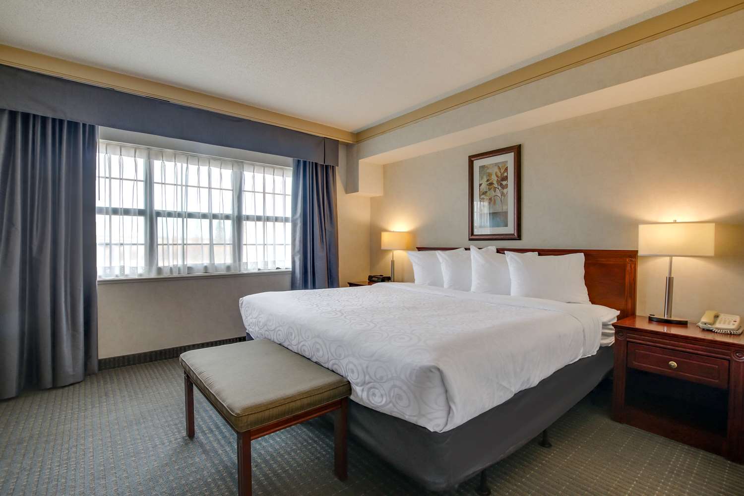 Suite, King Bed, Sofa, Garden Wing