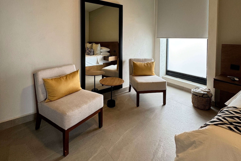 Esplendor by Wyndham San Luis Potosi Monarca 28/54