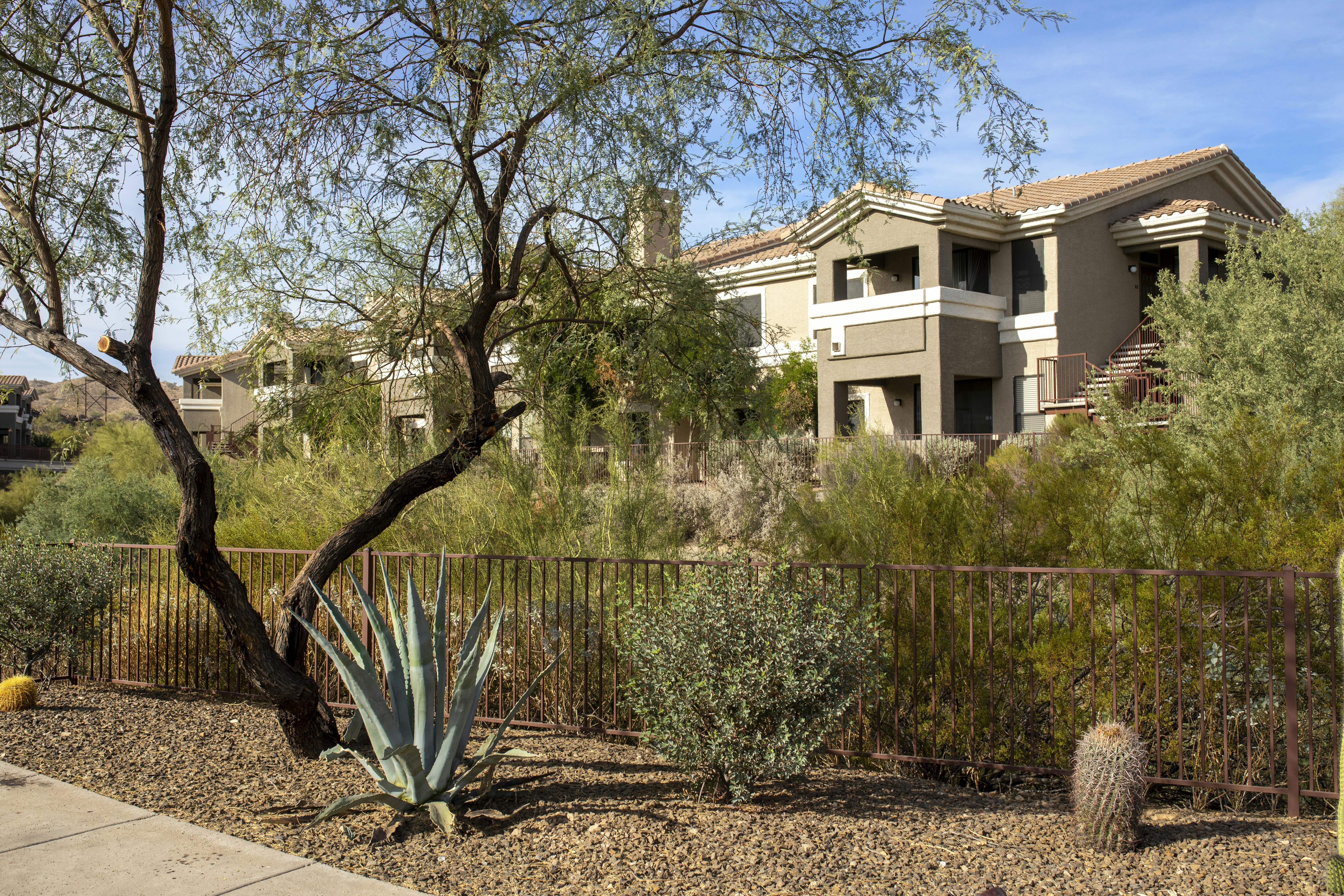 Worldmark Phoenix South Mountain Preserve 30/50