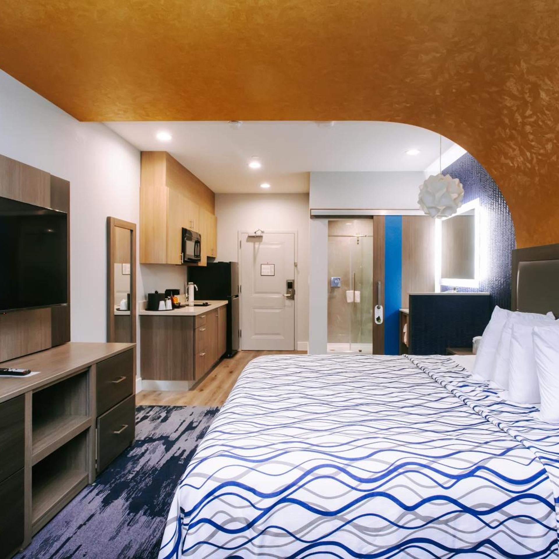 Palace Inn Blue Houston East Beltway 8 16/38