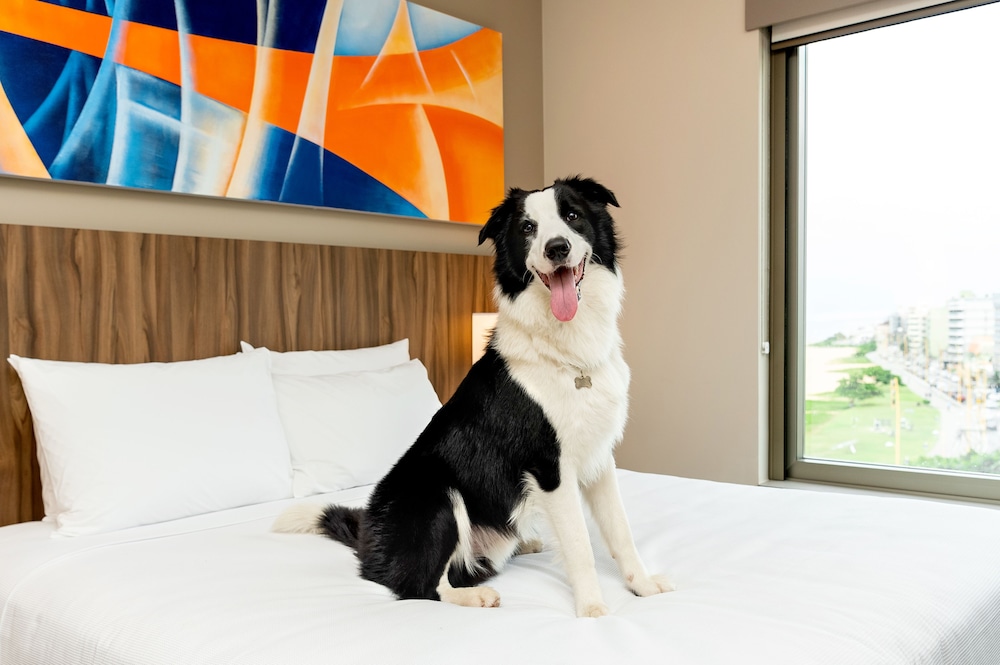 Hyatt Place Macae 35/59