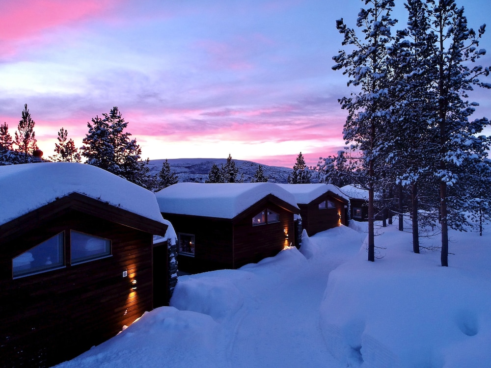Bjornfjell Mountain Lodge 37/50