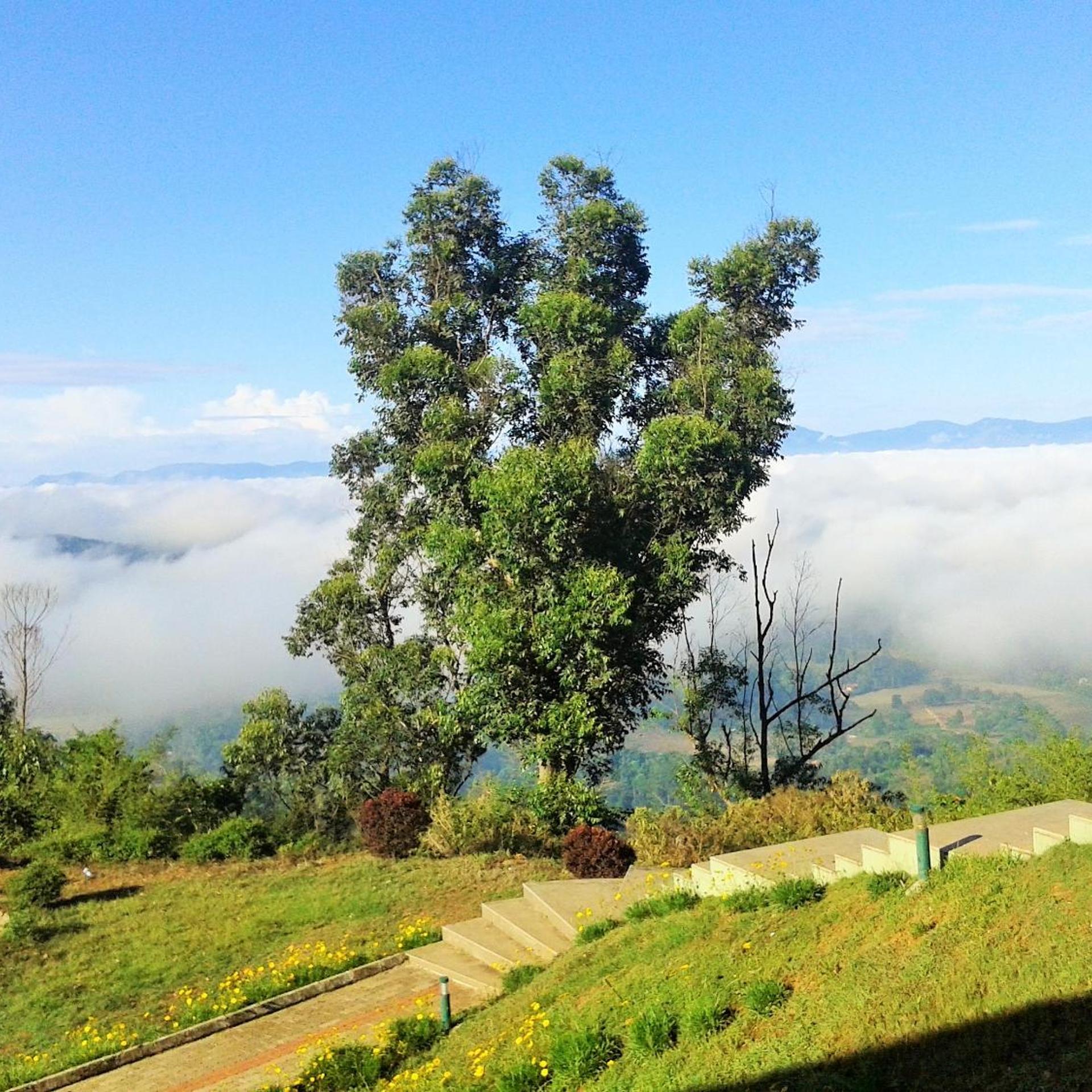 KSTDC Hotel Mayura Valley View 47/53
