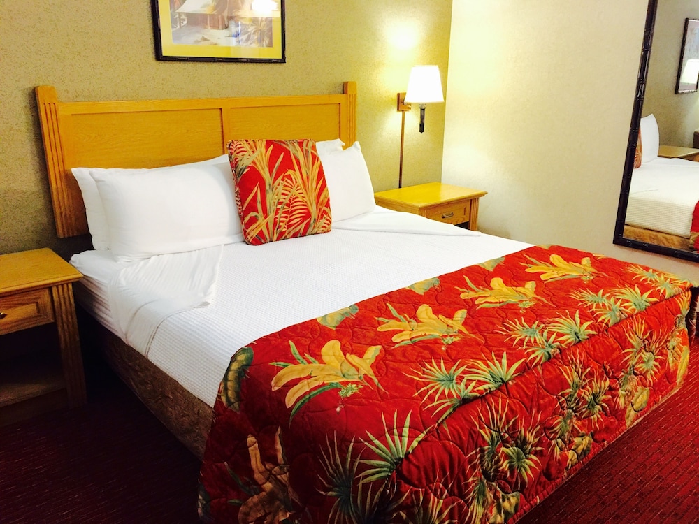 Caliente Tropics Hotel 6/34