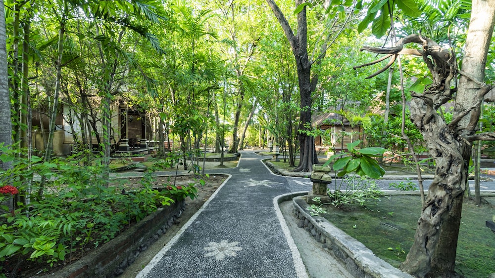 Alam Gili 35/50