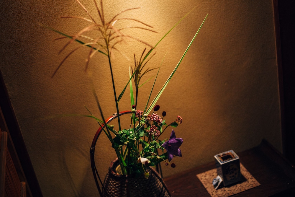Ryokan Yoshida-sanso 8/31