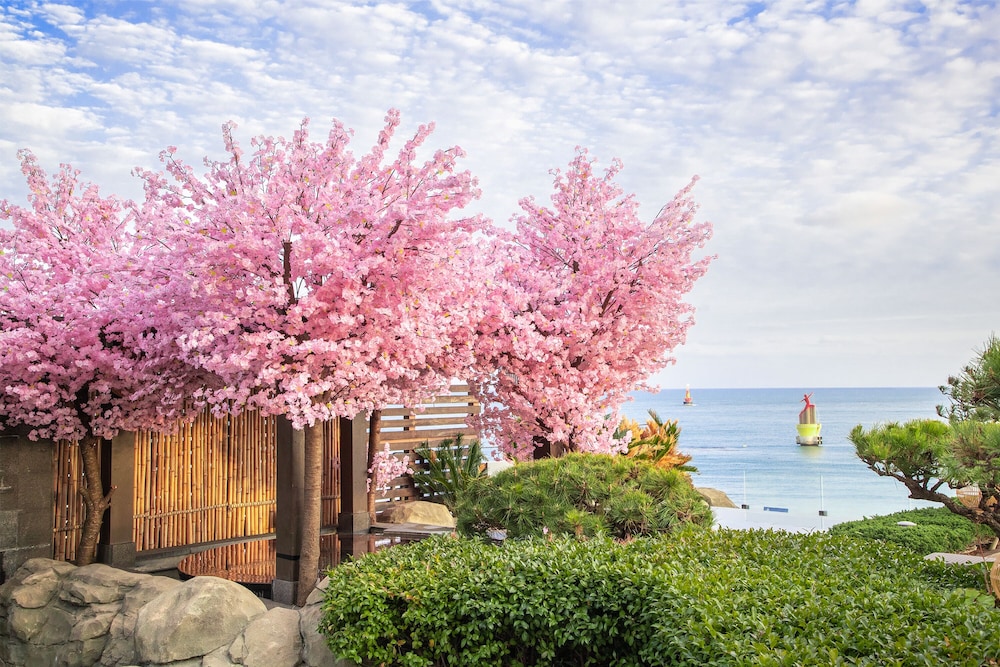 Paradise Hotel Busan 71/75