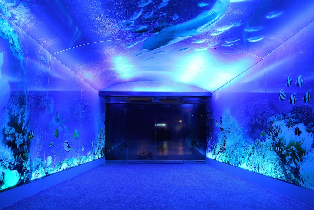 Clownfish Resort 32/64