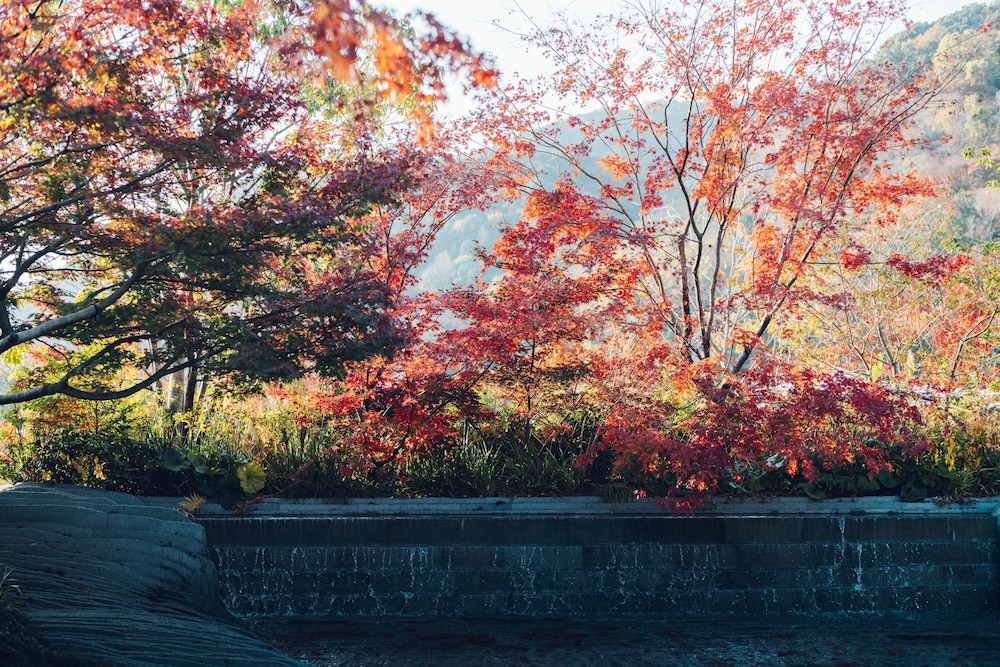 MUNI KYOTO 43/50