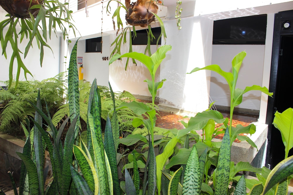 Hotel Natural Medellin 7/62