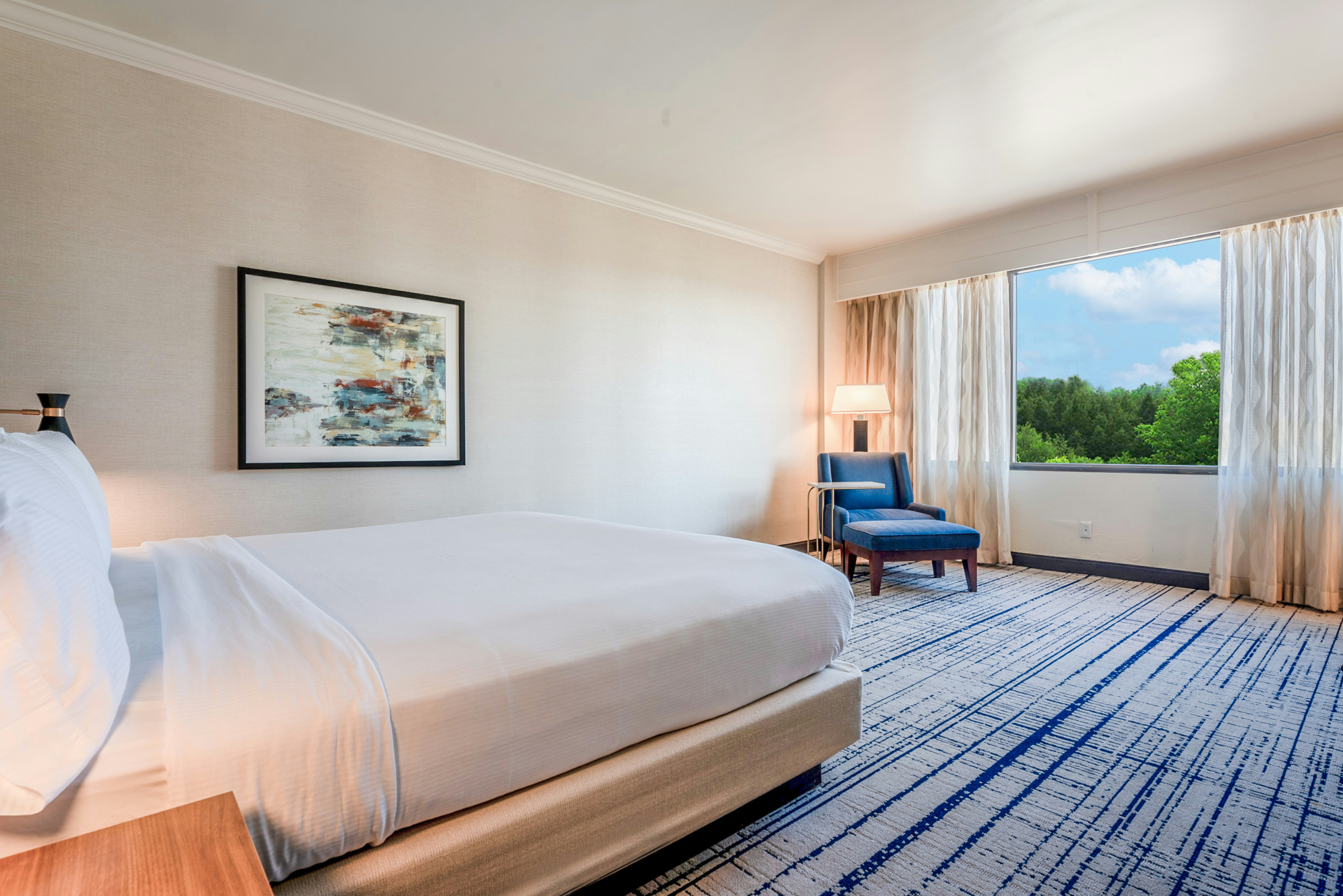 ROOM, KING BED, ACCESSIBLE
