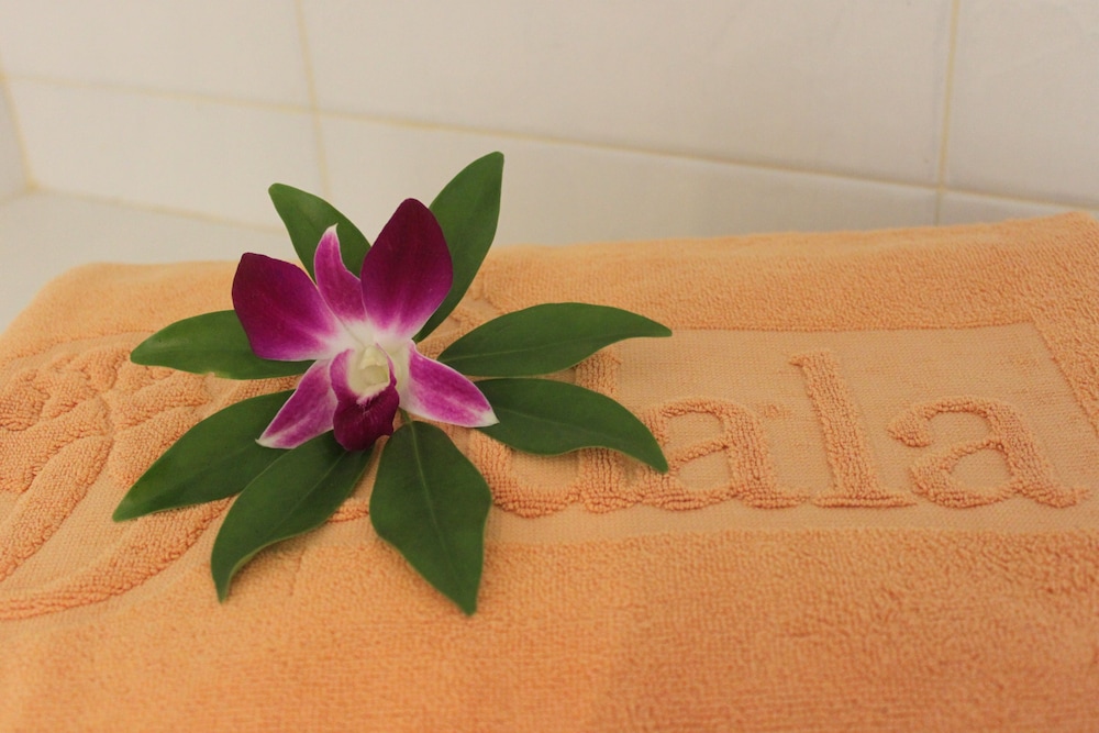 Sudala Beach Resort photo4