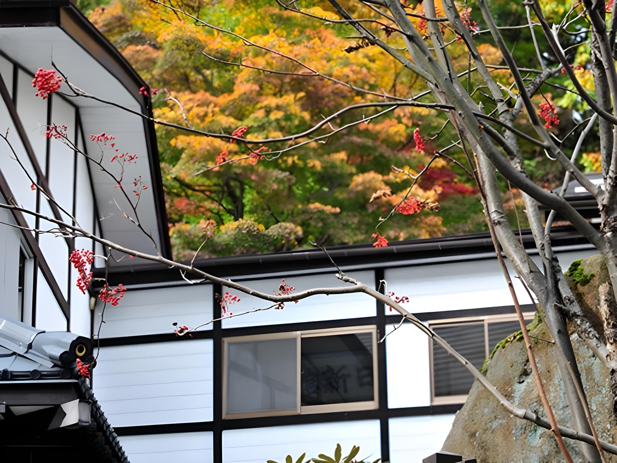 Kusatsu Onsen Nisshinkan 14/36