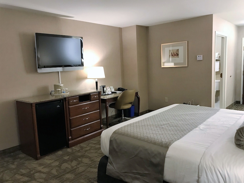 Medallion Inn and Suites 17/46