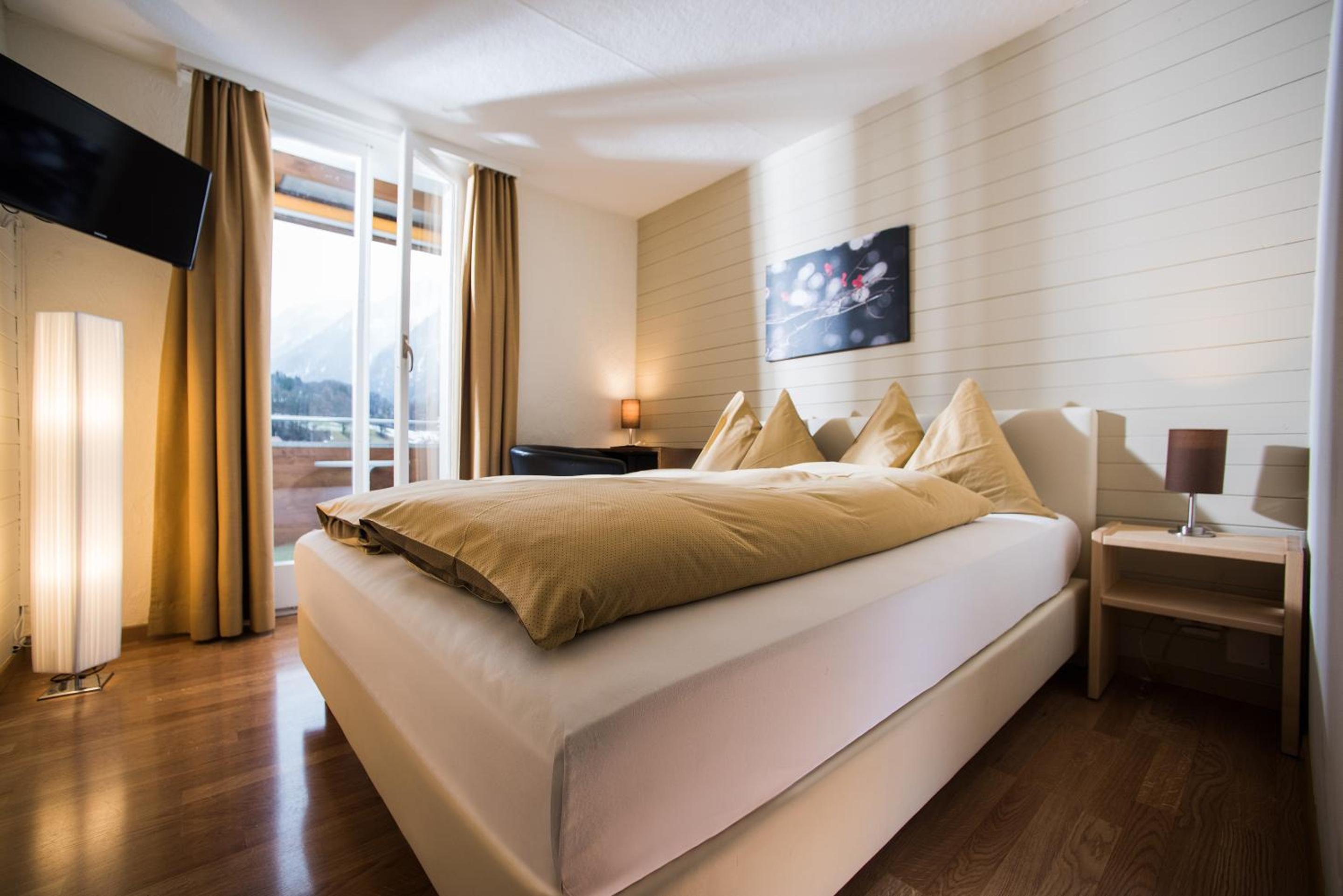 Economy, Queen Bed, Mountain View