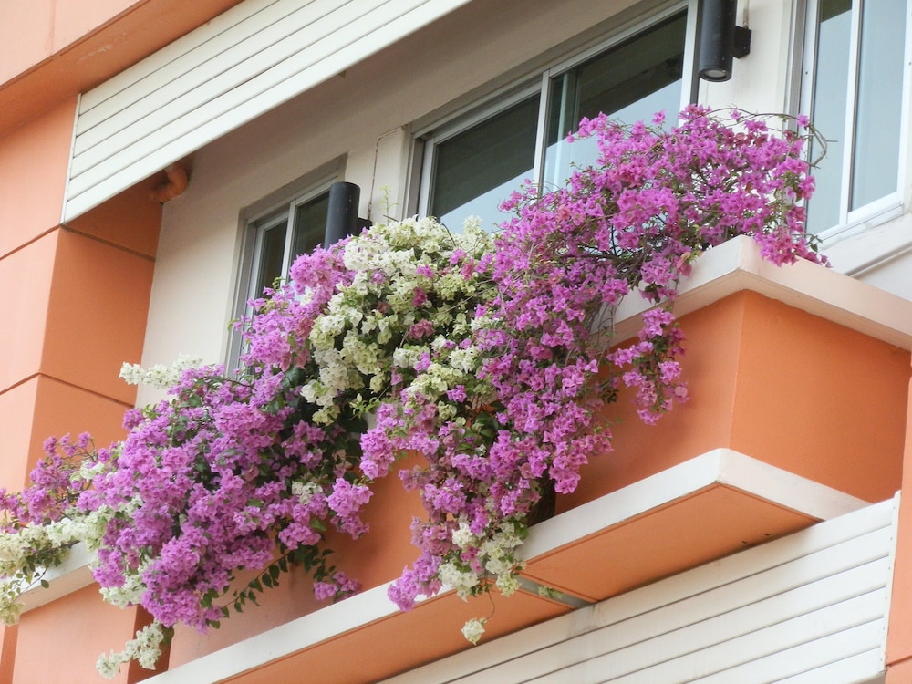 Sandy Serviced Apartment 12/62