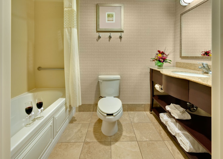 Hampton Inn Suites Reno Nv 29/29