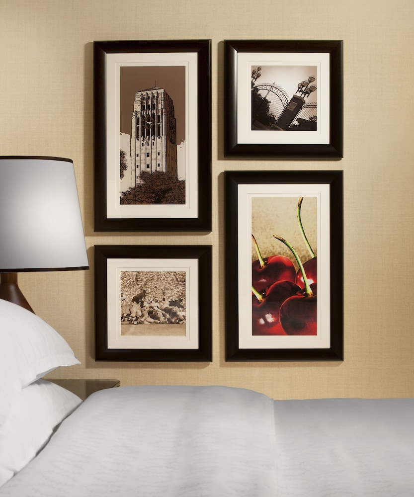 Sheraton Ann Arbor Hotel 24/65