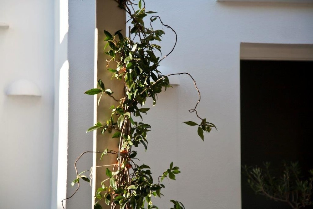 Smaragdi Hotel 39/56