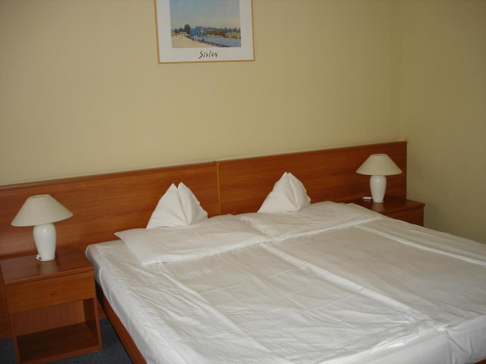 Tisza Alfa Hotel 13/48