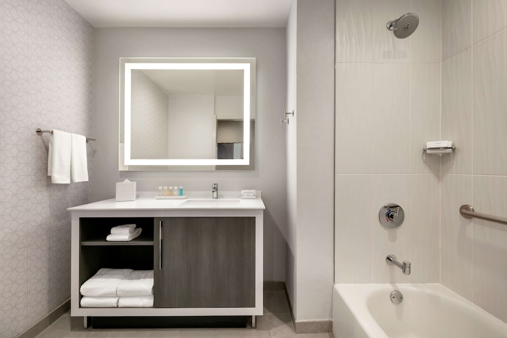 Embassy Suites by Hilton Atlanta Midtown 12/45